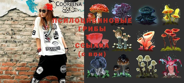 экстази Горняк