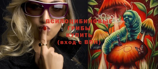 экстази Горняк