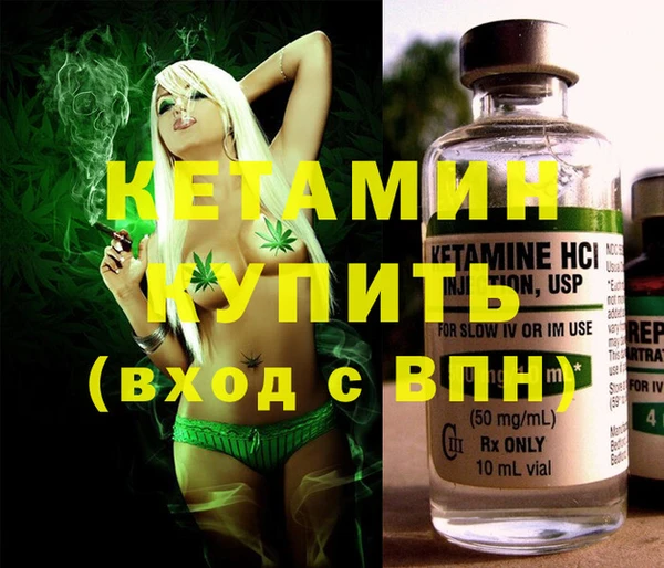 твердый Гусев