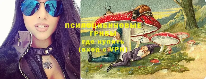 Галлюциногенные грибы прущие грибы  где можно купить   Дзержинский 