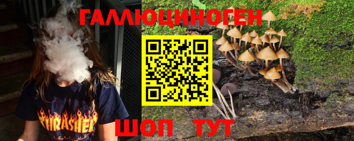 Псилоцибиновые грибы Cubensis  Вход с VPN  Дзержинский  Галлюциногенные грибы Magic Shrooms 