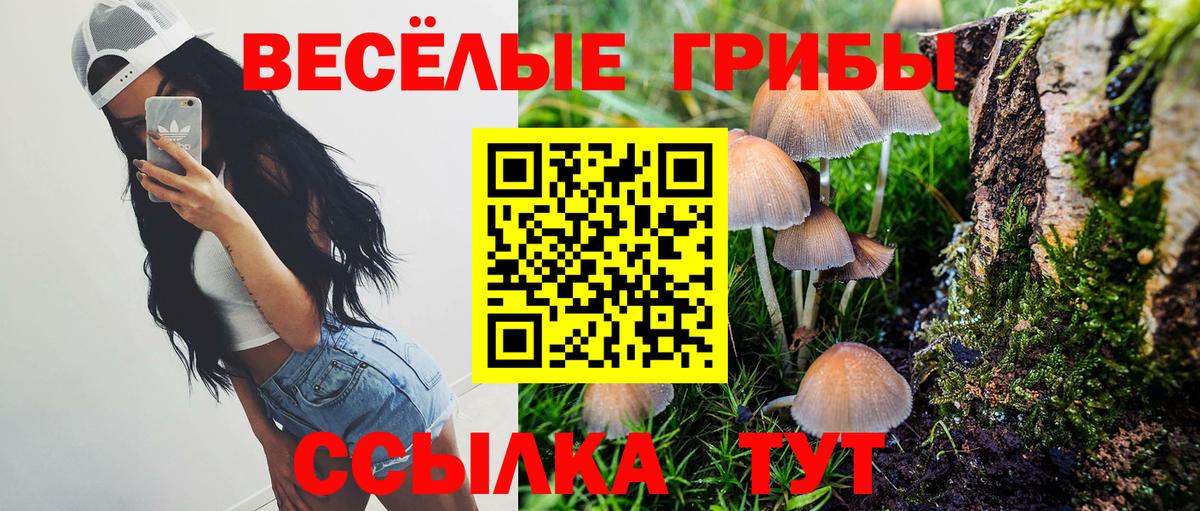 Псилоцибиновые грибы Magic Shrooms  Дзержинский 